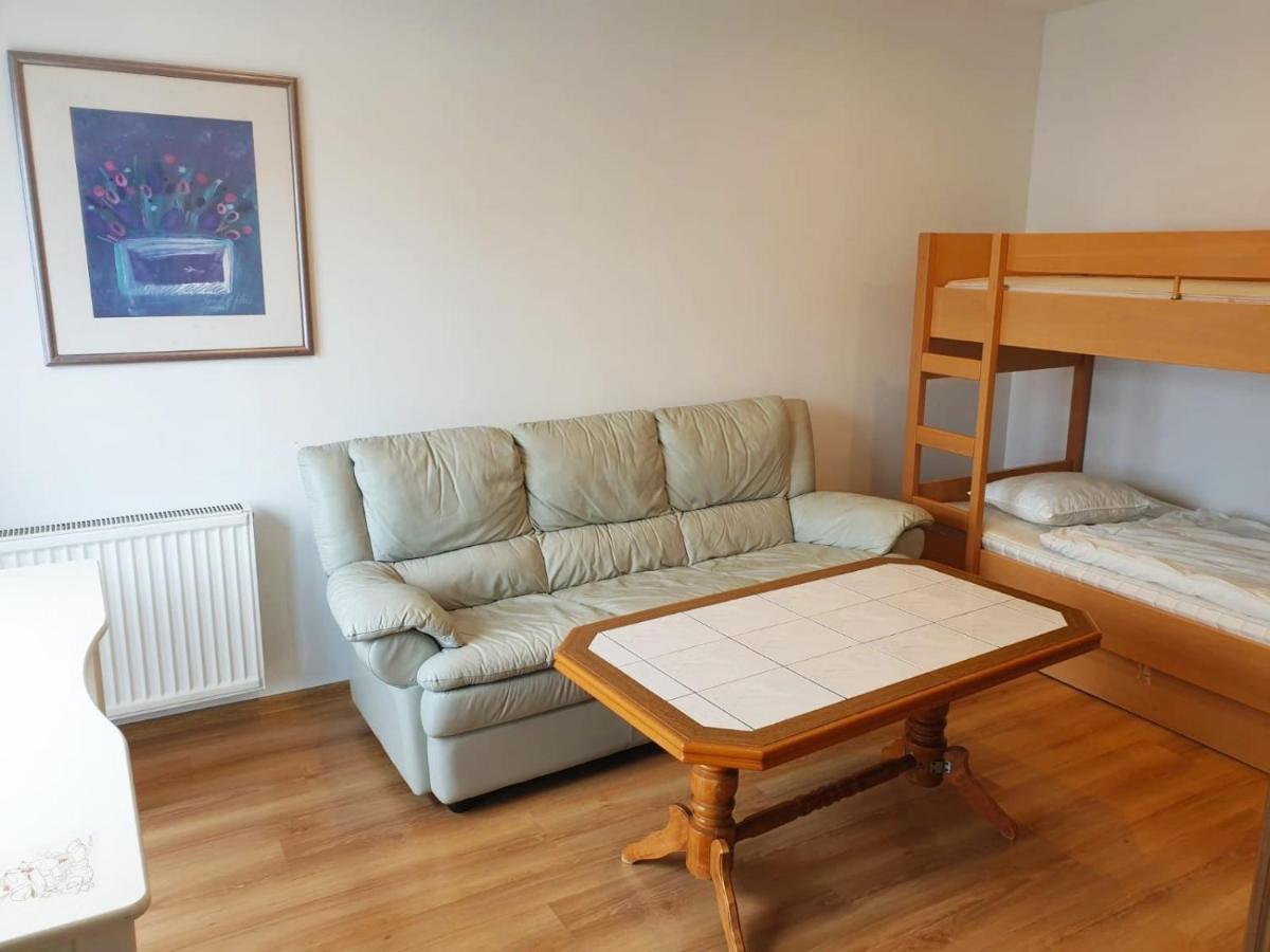 Gornyslask Blisko Jeziora - 120qm - 3 Sypialnie Z Parkingiem I Klimatyzacja - Flat Uppersilesia With Parking & Air Conditioning - Oberschlesien Mit 3 Schlafzimmern Inklusive Parkplatz Und Klima - Naehe Badesee Und Sandstrand * Niewiesze